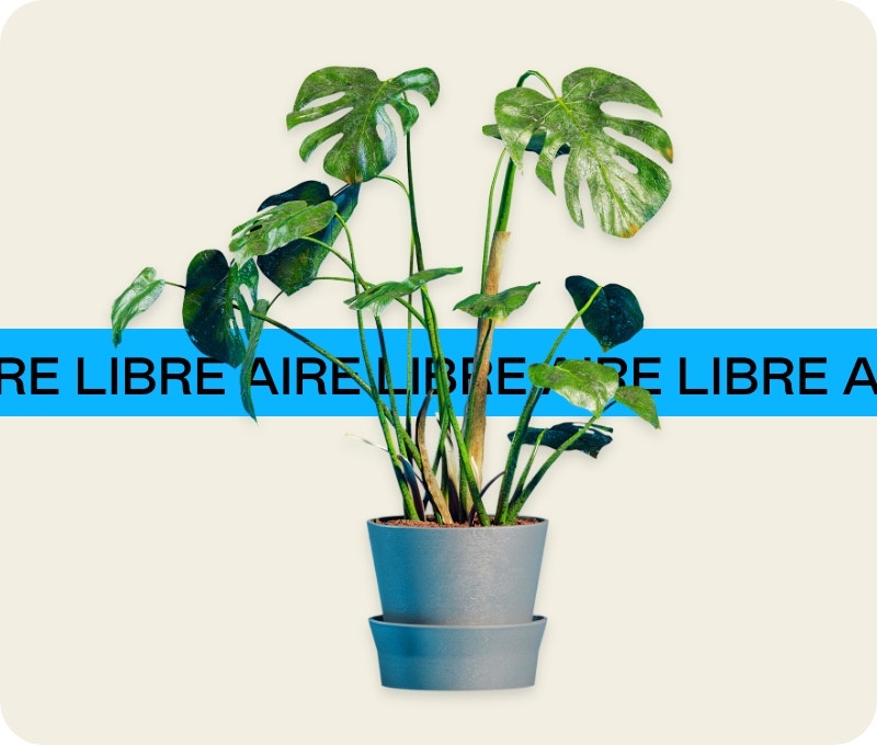 Plantas artificiales